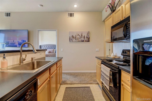 kitchen with black appliances and sink