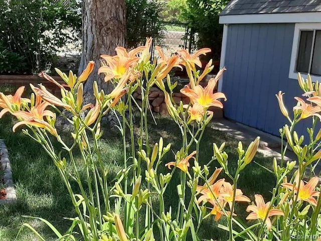 971 Elm Pl, Thornton, CO 80229 - exterior view