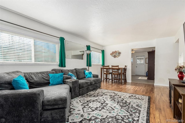 living room with plenty of natural light, hardwood / wood-style floors, and a textured ceiling