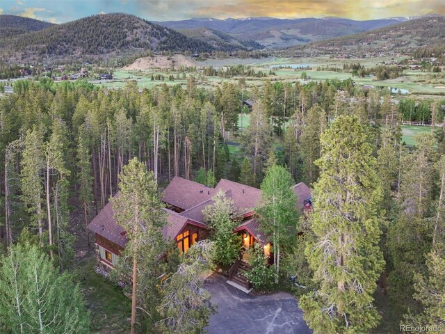 2176 Highlands Dr, Breckenridge, CO 80424 - photo 34