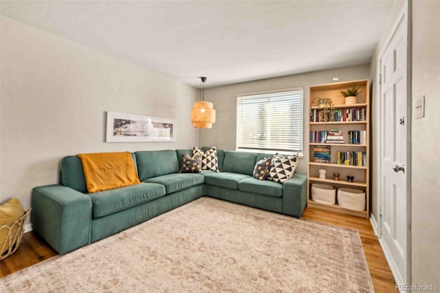 living room featuring wood finished floors