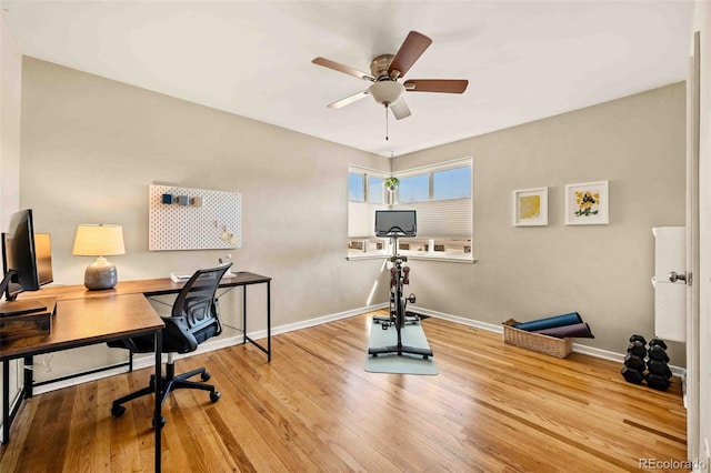 office area featuring ceiling fan, baseboards, and wood finished floors