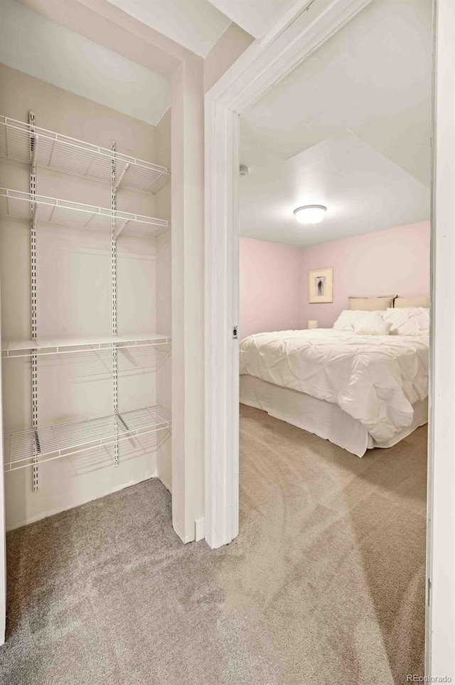 unfurnished bedroom featuring a closet and carpet flooring