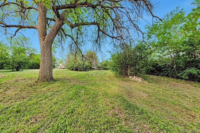 419 S Osceola St, Denver, CO 80219 - photo 21