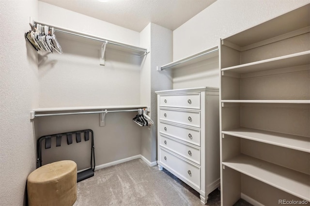 walk in closet featuring carpet floors