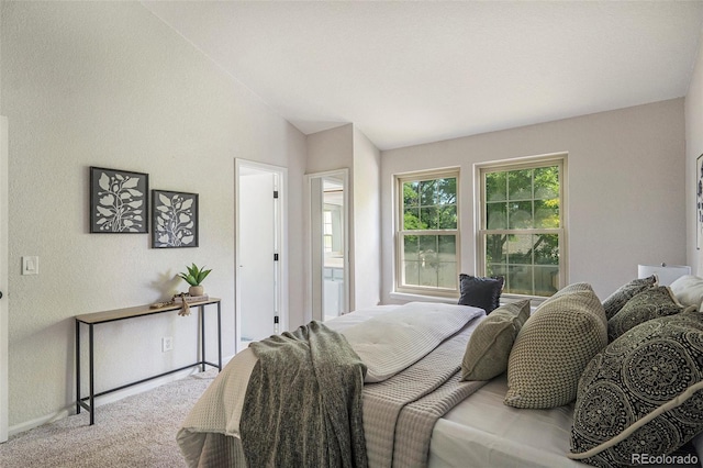 11797 W Aqueduct Dr, Littleton, CO 80127 - carpeted bedroom featuring lofted ceiling and a textured wall