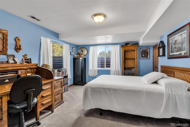 207 Savage Loop, Canon City, CO 81212