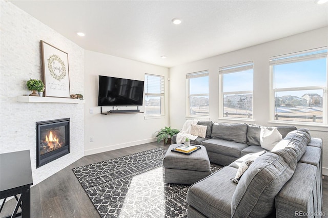 living room with dark wood-type flooring