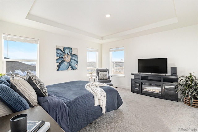 carpeted bedroom featuring a tray ceiling