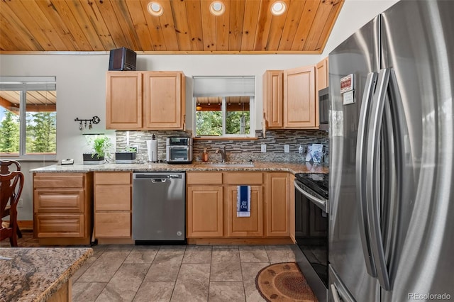 kitchen featuring light brown cabinets, a healthy amount of sunlight, appliances with stainless steel finishes, and a sink