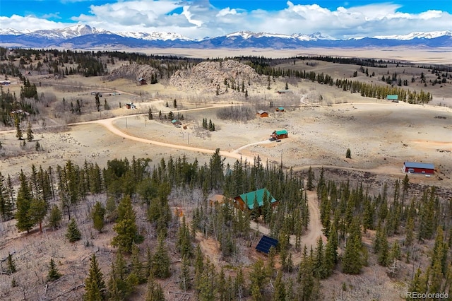 birds eye view of property featuring a mountain view