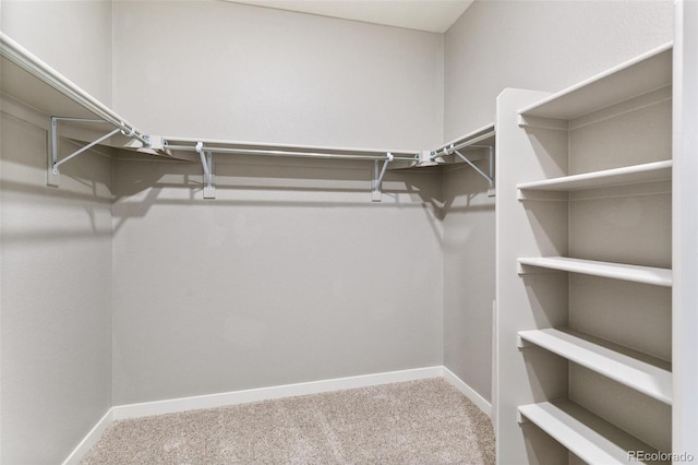 14259 Beebalm Ave, Parker, CO 80134 - walk in closet with carpet flooring