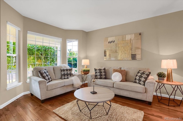 living room with wood-type flooring