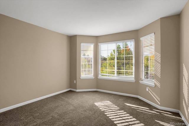 unfurnished room featuring carpet