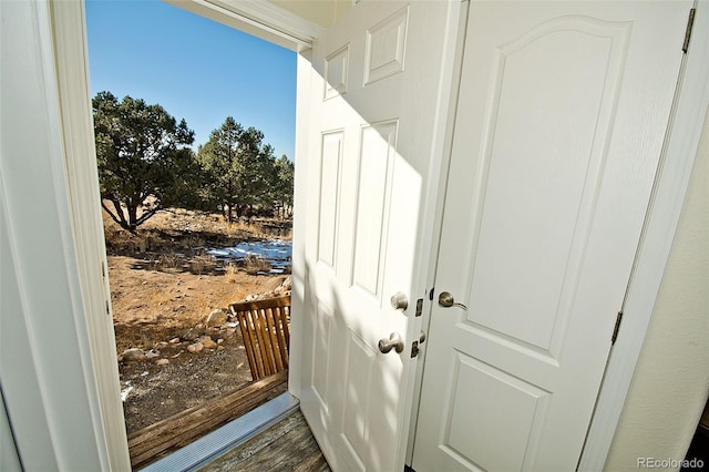 doorway to outside featuring dark wood-type flooring