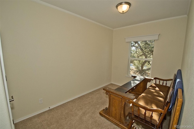 office space featuring carpet and crown molding