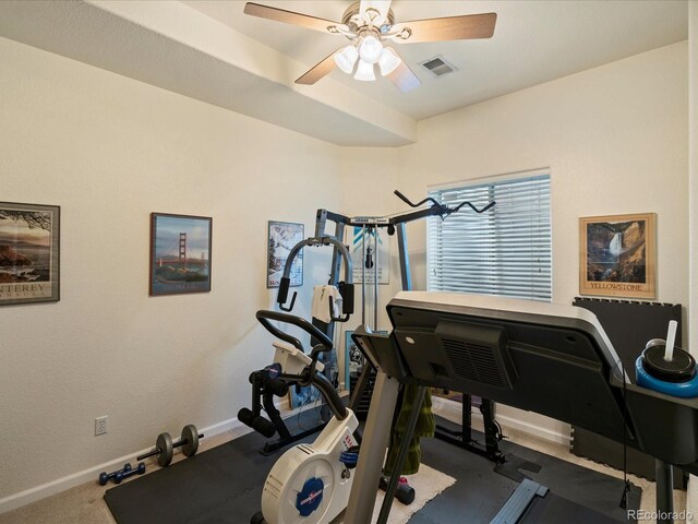5700 S Benton Cir, Littleton, CO 80123 - exercise room featuring baseboards and ceiling fan