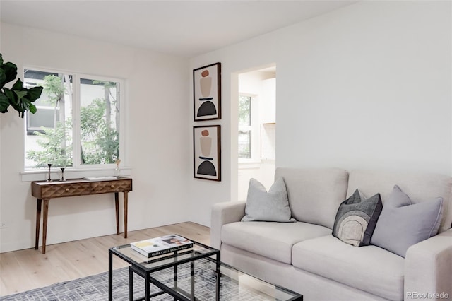 1361 W Custer Pl, Denver, CO 80223 - living room featuring wood finished floors