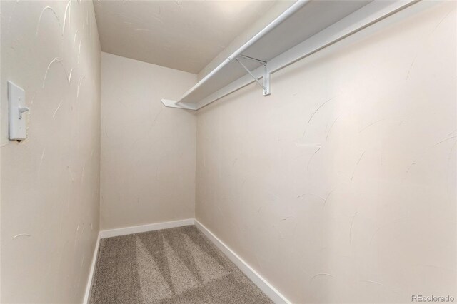 2965 Ivy St, Denver, CO 80207 - photo 24