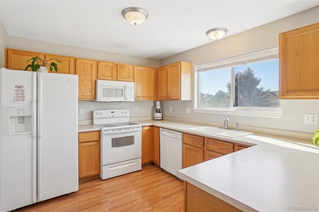 kitchen with sink, white appliances, and light wood-type flooring