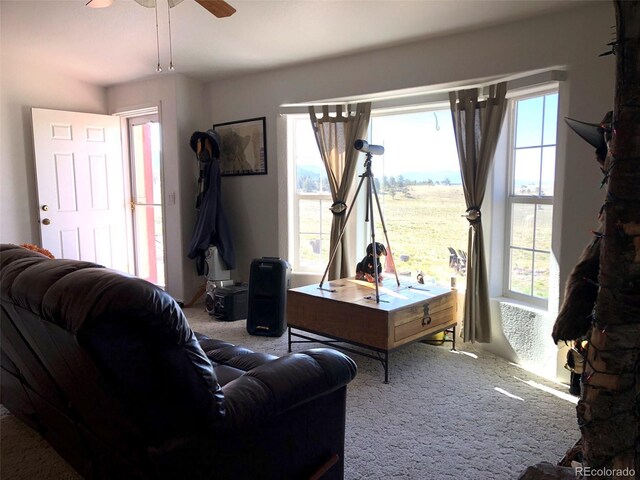 1983 Arapahoe Rd, Hartsel, CO 80449 - photo 19