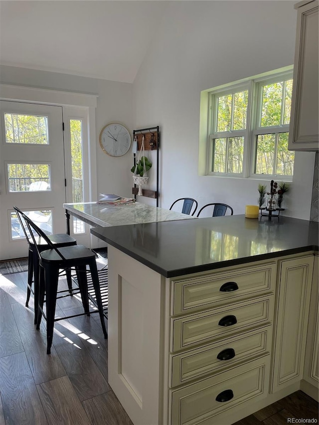 47 Lumberjack Rd, Fairplay, CO 80440 - bar featuring lofted ceiling and dark wood-style floors