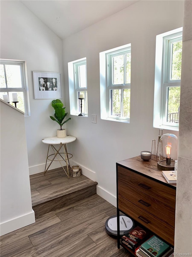 47 Lumberjack Rd, Fairplay, CO 80440 - entryway with baseboards, wood finished floors, plenty of natural light, and vaulted ceiling
