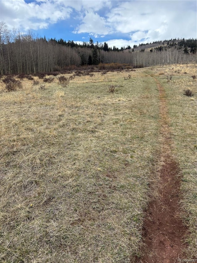 47 Lumberjack Rd, Fairplay, CO 80440 - view of nature featuring rural landscape