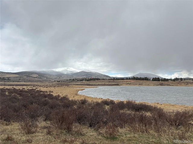 47 Lumberjack Rd, Fairplay, CO 80440 - water view with mountains