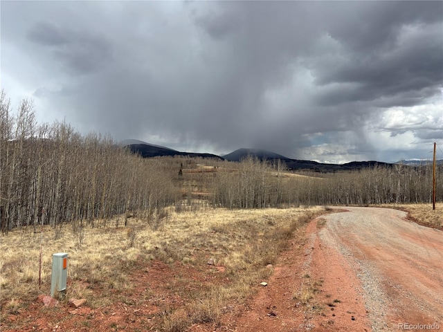 47 Lumberjack Rd, Fairplay, CO 80440 - view of dirt / gravel road