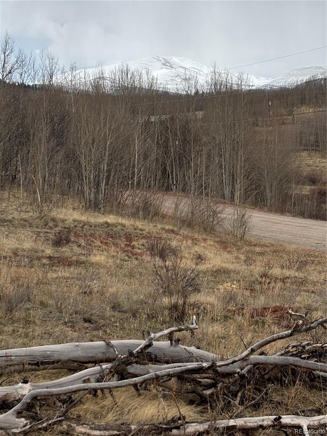 47 Lumberjack Rd, Fairplay, CO 80440 - view of local wilderness