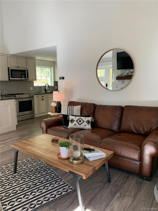 47 Lumberjack Rd, Fairplay, CO 80440 - living area featuring wood finished floors