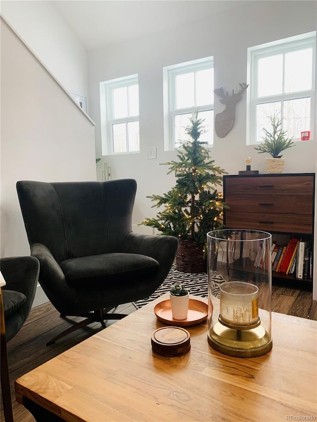 47 Lumberjack Rd, Fairplay, CO 80440 - sitting room featuring wood finished floors