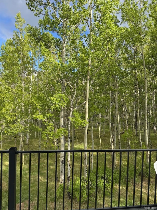 47 Lumberjack Rd, Fairplay, CO 80440 - view of yard