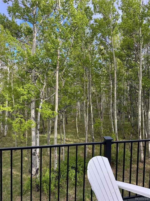 47 Lumberjack Rd, Fairplay, CO 80440 - view of balcony