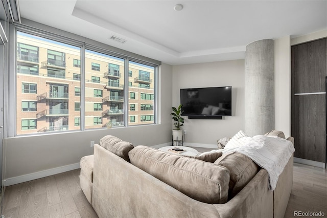 living room featuring light hardwood / wood-style floors and a raised ceiling