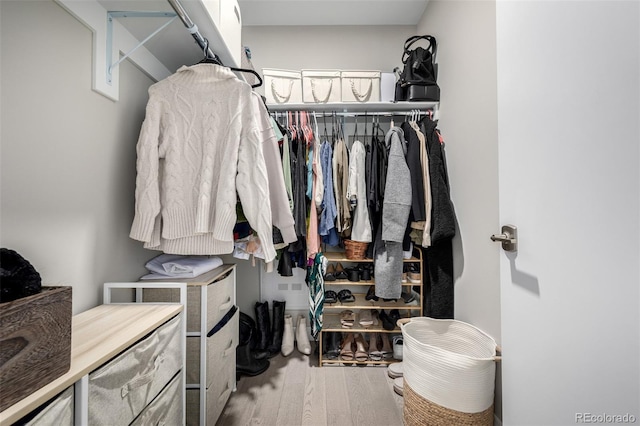 spacious closet with wood-type flooring