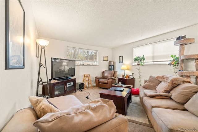 living room featuring a textured ceiling, light colored carpet, and a healthy amount of sunlight