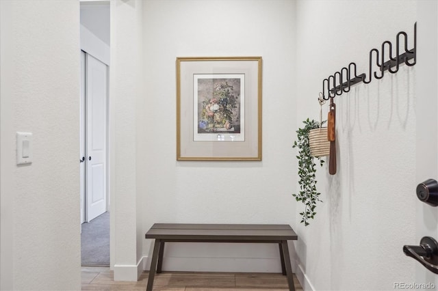 14423 Shasta Daisy Ln, Parker, CO 80134 - hallway with wood finished floors and baseboards