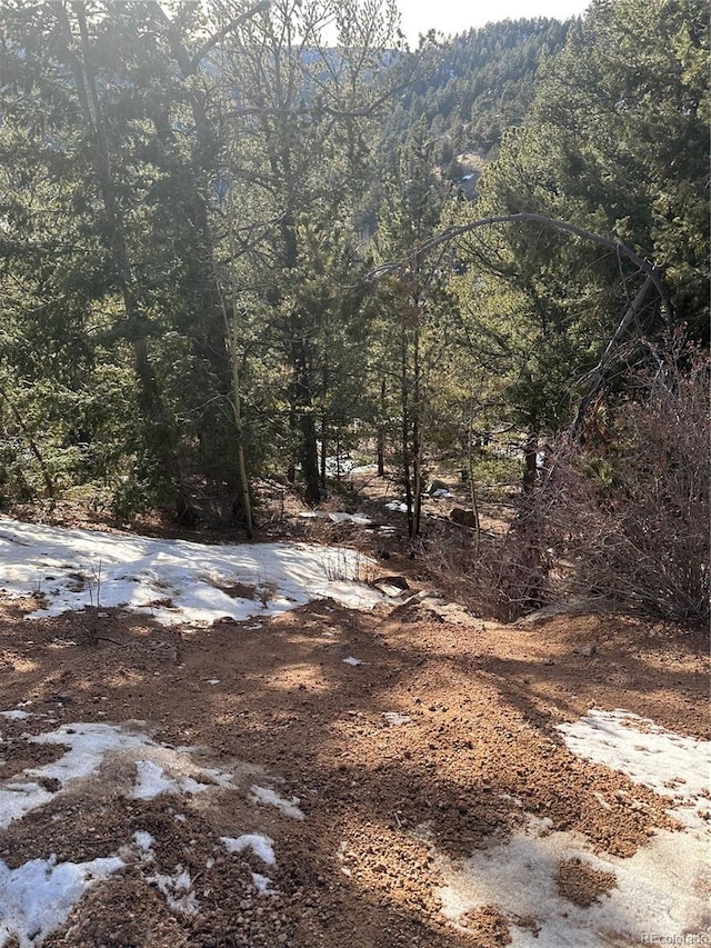 1600 Pikes Peak Dr, Divide CO, 80814 land for sale