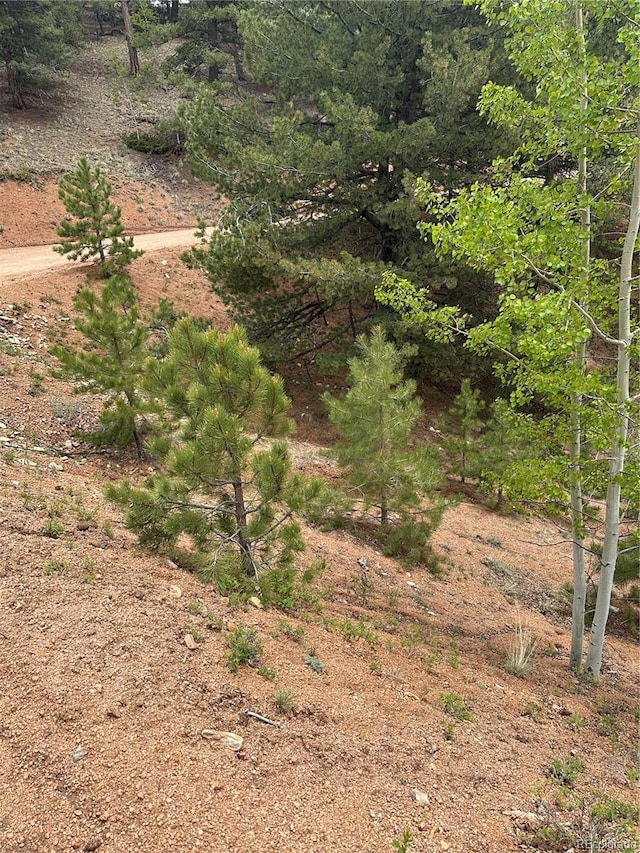 1600 Pikes Peak Dr, Divide, CO 80814