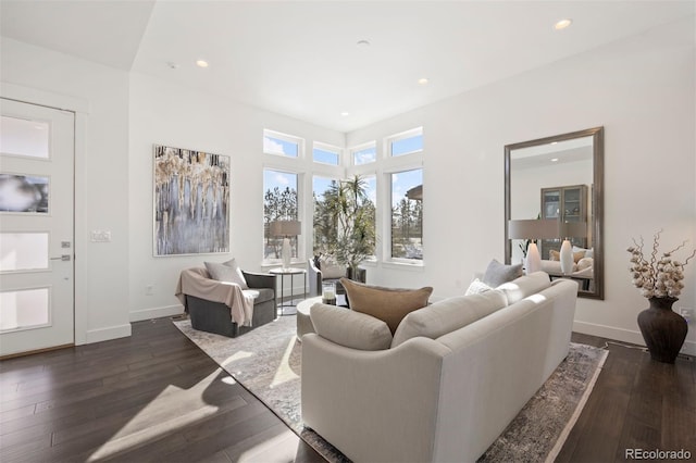 living room featuring dark hardwood / wood-style floors