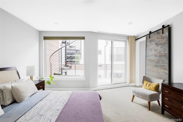 3156 W 20th Ave, Denver, CO 80211 - bedroom with multiple windows, access to exterior, carpet, and a barn door