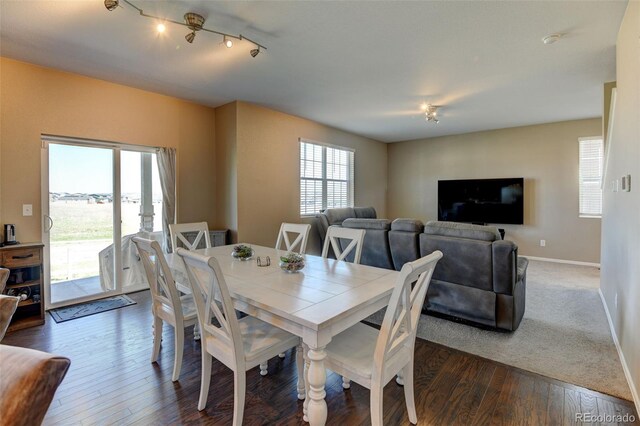 5837 High Timber Cir, Castle Rock, CO 80104 - dining room with baseboards, track lighting, and dark wood-style floors
