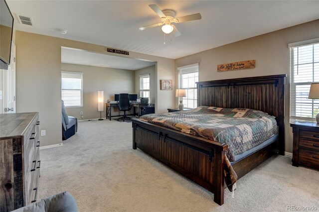 5837 High Timber Cir, Castle Rock, CO 80104 - bedroom featuring light colored carpet and multiple windows