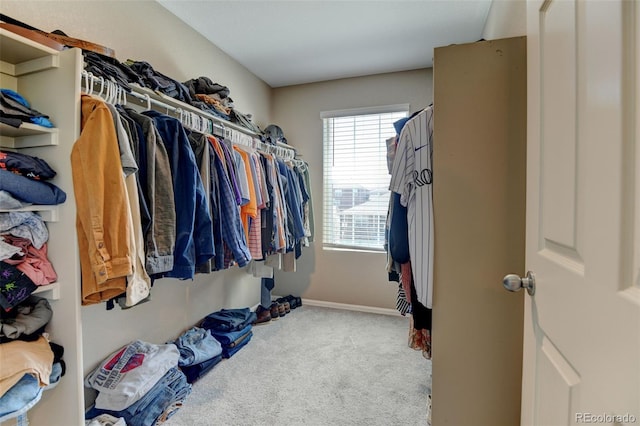 5837 High Timber Cir, Castle Rock, CO 80104 - walk in closet with carpet floors