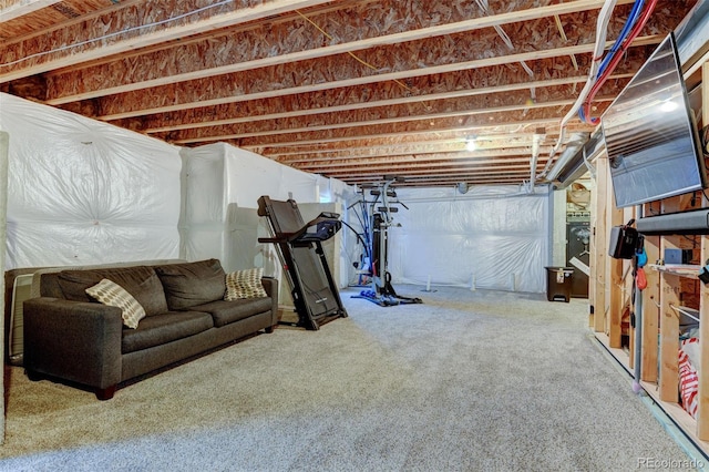 5837 High Timber Cir, Castle Rock, CO 80104 - unfinished below grade area with carpet flooring