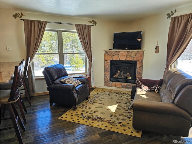 living room with a fireplace and hardwood / wood-style flooring