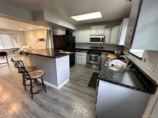 kitchen featuring light wood finished floors, appliances with stainless steel finishes, and a sink