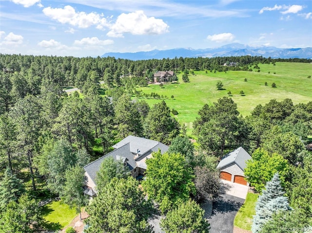 3781 Mountain Dance Dr, Colorado Springs, CO 80908 - photo 48